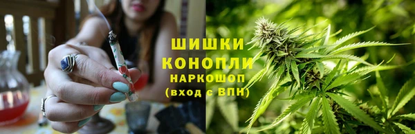 эйфоретик Елизово