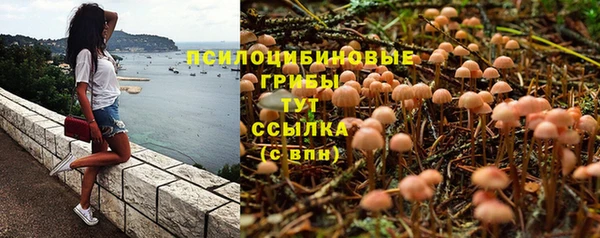 эйфоретик Елизово