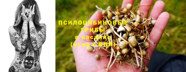 эйфоретик Елизово