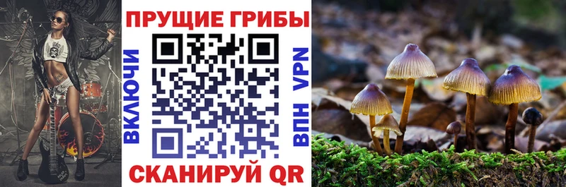 Купить  Карабаш  Галлюциногенные грибы прущие грибы 