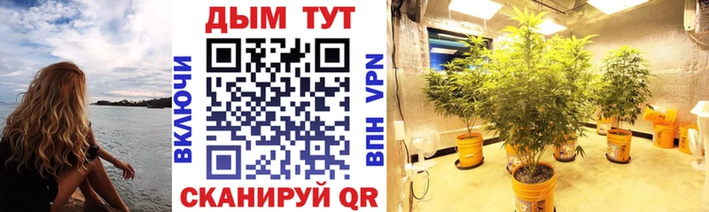 Купить  Карабаш  Канабис тримм 